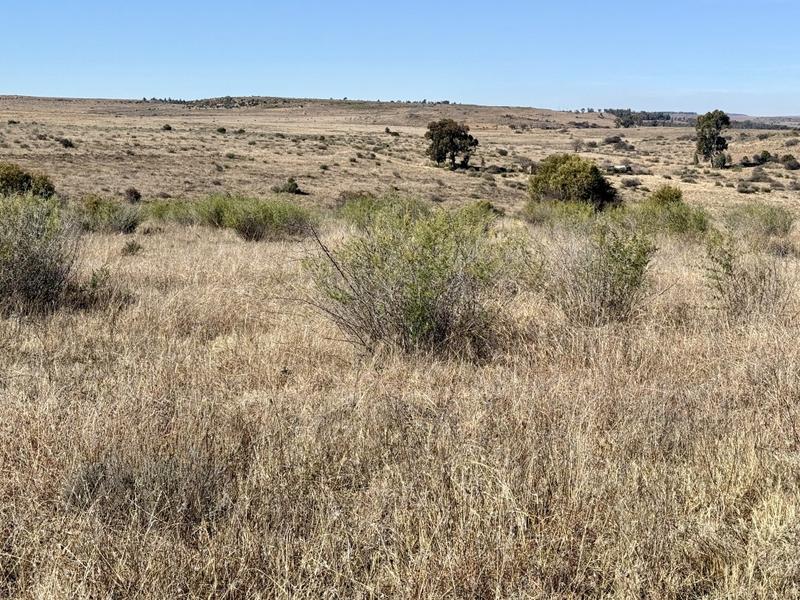 0 Bedroom Property for Sale in Lindley Free State